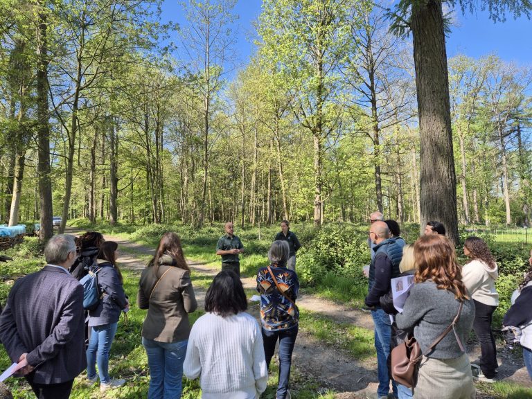 Gestionnaires du courtier DAP participent à la plantaison d'arbres