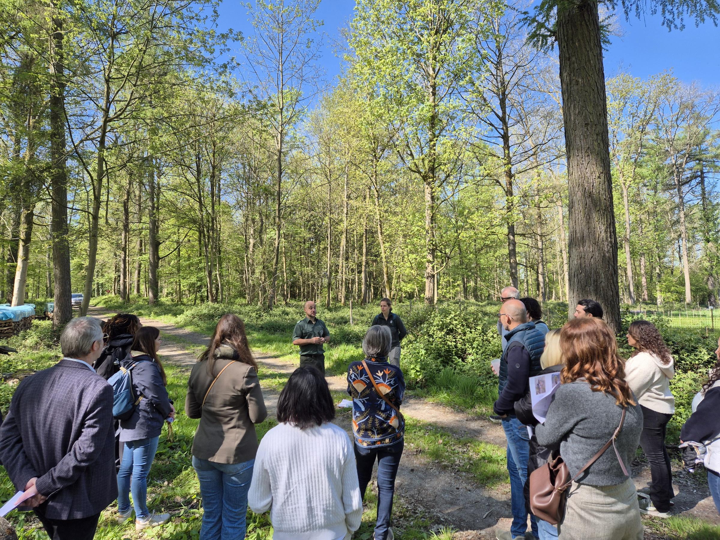 Gestionnaires du courtier DAP participent à la plantaison d'arbres